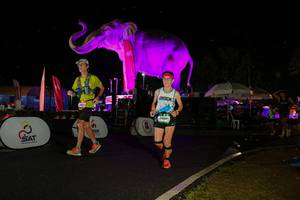 BIB: 
                            <button type="button" onclick="openModal(26543028)" class="btn btn-primary btn-sm float-right btn-popup" data-toggle="modal" data-target=".modal-high-quality">
                        <i class="fas fa-shopping-cart"></i> Add to Cart
                    </button>
                                            <button type="button" onclick="isThisMe(26543028, true)" class="btn btn-success btn-sm float-right btn-popup btn-isme hidden" data-toggle="tooltip" data-placement="bottom" title="นี่คือรูปของคุณใช่ไหม คลิกที่นี่เพื่อเอาเข้าอัลบั้ม">
                        <i class="fas fa-plus"></i> Add to album
                    </button>
                    <button type="button" onclick="isThisMe(26543028, false)" class="btn btn-warning btn-sm float-right btn-popup btn-isnotme hidden">
                        <i class="fas fa-ban"></i> Remove from album
                    </button>